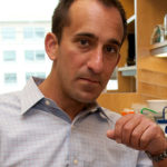 Cindy Chew 6/3/11 Dr. Michael Fischbach